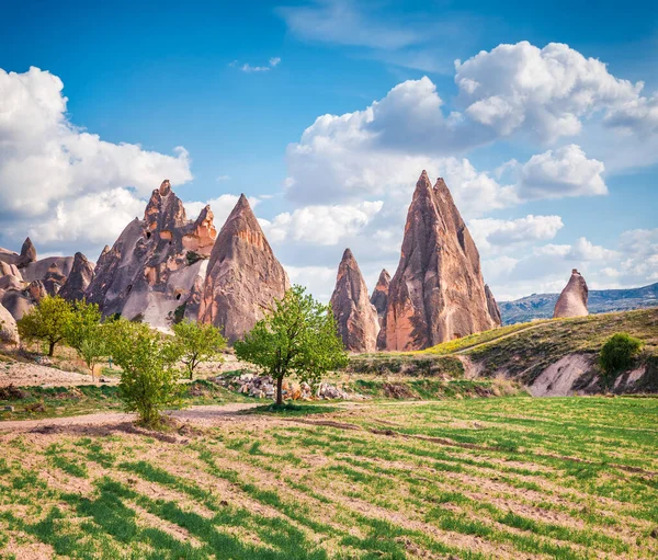 美丽的卡帕多西亚夏季风景 美丽的红玫瑰山谷的晨景 Cavusin村位于土耳其Nevsehir区 旅行概念背景 — 图库照片