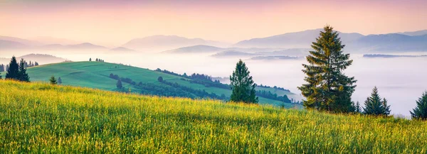 Superbe Scène Estivale Des Carpates Vue Panoramique Lever Soleil Sur — Photo