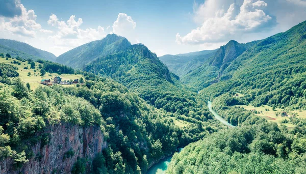 Pemandangan Pagi Yang Cerah Dari Jembatan Djurdjevica Atas Sungai Tara — Stok Foto