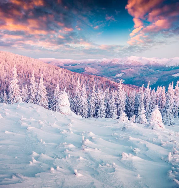 Зимняя Страна Чудес Карпатах Красочный Утренний Пейзаж Высокогорье Новым Годом — стоковое фото