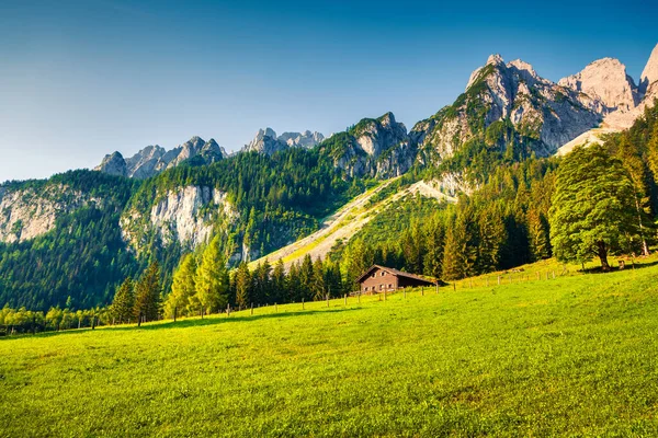 Sunny Nyári Kilátás Daeumling Hegység Gosau Lake Vorderer Gosausee Helyen — Stock Fotó