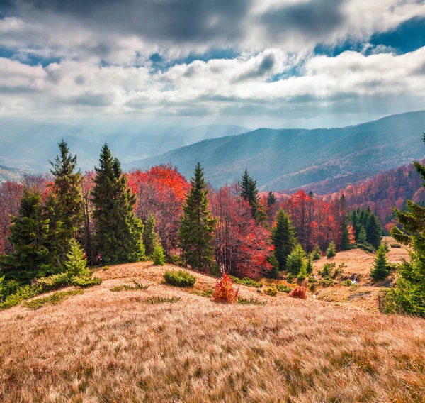 Malebná Podzimní Scéna Horského Údolí Skvělá Ranní Scéna Karpat Poloha — Stock fotografie