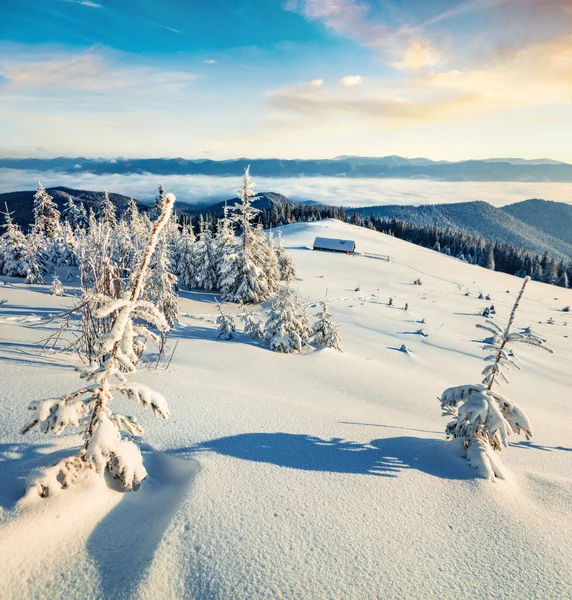 Première Lumière Soleil Brillante Collines Vallées Montagne Dans Les Carpates — Photo