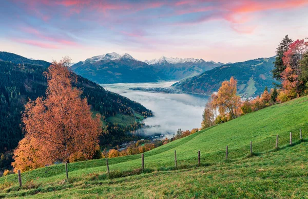 Espléndida Vista Del Lago Zell Impresionante Amanecer Otoño Ciudad Austriaca —  Fotos de Stock