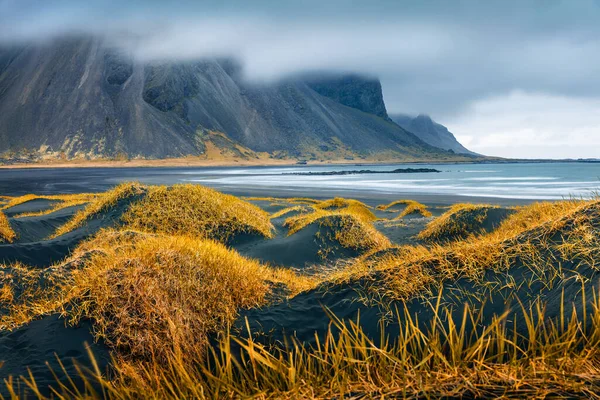 Calm Autumn Landscape Black Sand Dunes Yellow Grass Top Dramatic — Stock Photo, Image