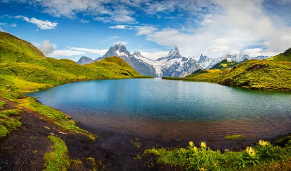 Wetterhorn Και Wellhorn Κορυφές Πάνω Από Λίμνη Bachsee Πολύχρωμη Καλοκαιρινή — Φωτογραφία Αρχείου