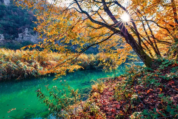 Zonnige Ochtend Uitzicht Zuiver Water Rivier Nationaal Park Plitvice Prachtige — Stockfoto