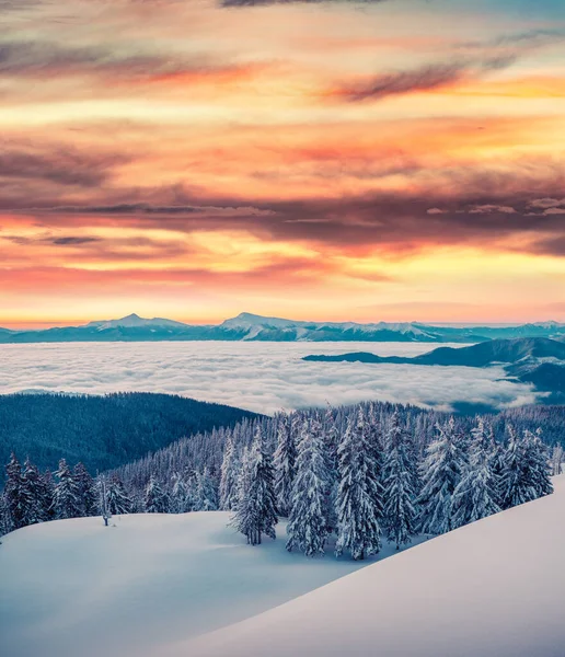 Alto Cielo Rojo Sobre Las Montañas Invierno Fabuloso Atardecer Cárpatos — Foto de Stock