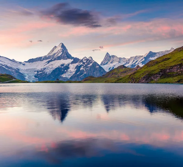 Schreckhorn Berg Speglas Bachalpsee Sjön Färgglada Sommarsoluppgångar Schweiziska Bernese Alperna — Stockfoto