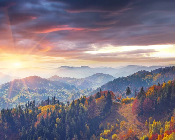 Manhã Outono Colorido Nos Cárpatos Nascer Sol Dramático Aldeia Montanha — Fotografia de Stock