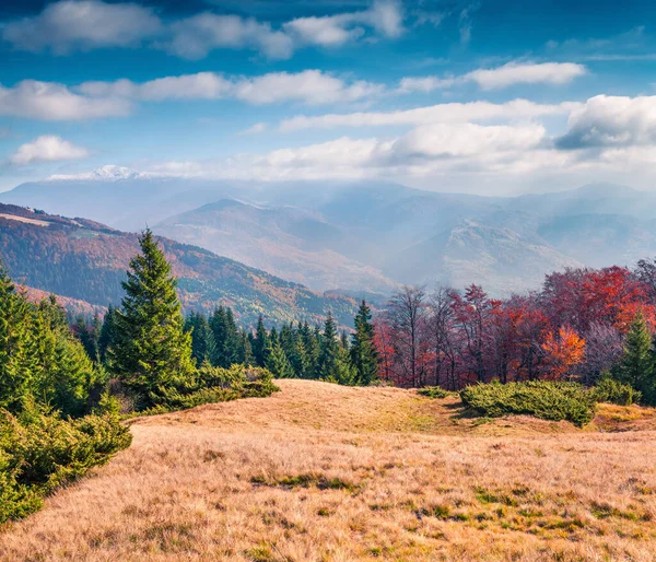 秋天美丽的山谷景色 位于乌克兰Kvasy村的喀尔巴阡山清澈的晨景 自然美概念背景 — 图库照片