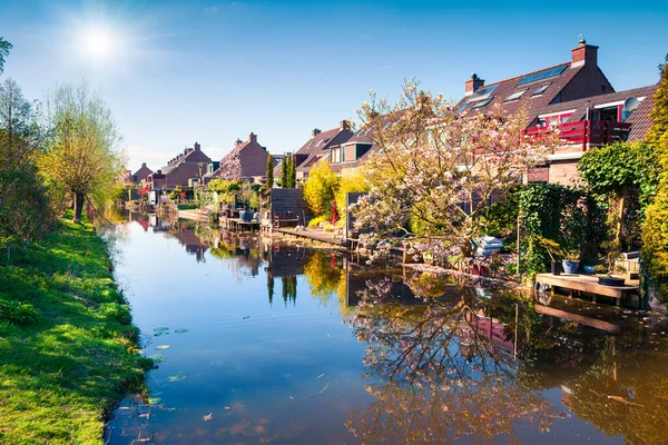 Zonnig Voorjaarsuitzicht Het Typisch Hollandse Platteland Kleurrijke Ochtendscene Het Stadje — Stockfoto