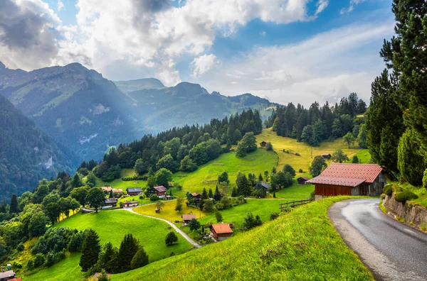 Kolorowy Letni Widok Wioskę Wengen Piękna Scena Plenerowa Alpach Szwajcarskich — Zdjęcie stockowe