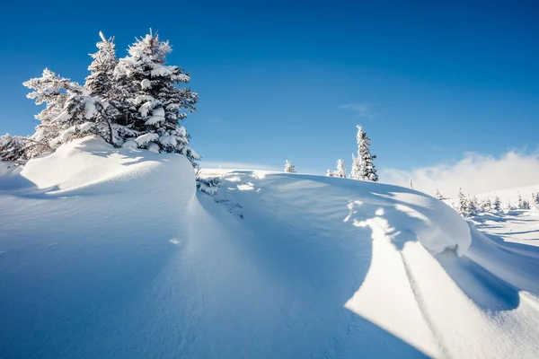 Cena Manhã Ensolarada Floresta Montanha Paisagem Inverno Brilhante Madeira Nevada — Fotografia de Stock