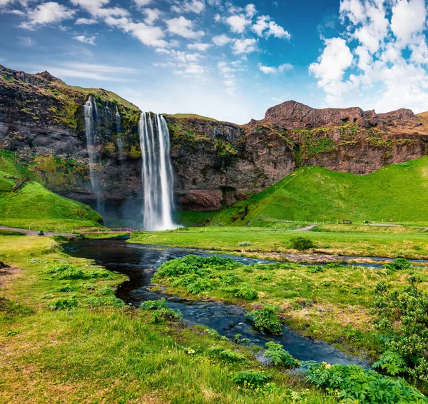 Festői Kilátás Reggel Seljalandfoss Vízesés Seljalandsa Folyón Színes Nyári Jelenet — Stock Fotó