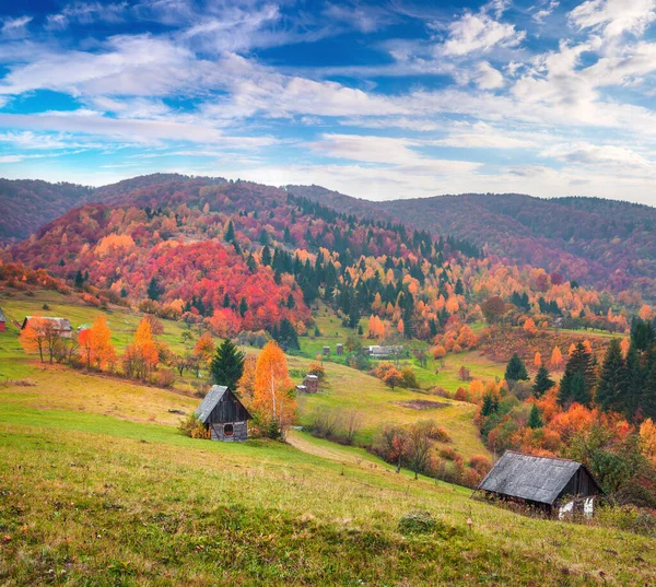 Colorful Rural Scene Kvasy Village Transcarpathian Ukraine Europe Beautiful Autumn — Stock Photo, Image