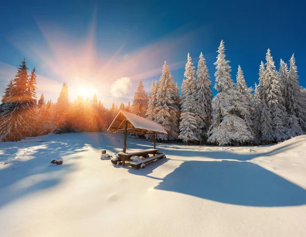 Lever Soleil Hiver Coloré Dans Forêt Magnifique Scène Noël Dans — Photo