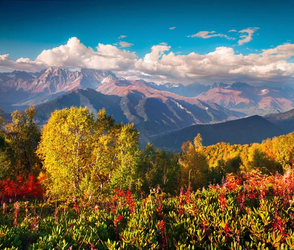 Kolorowy Jesienny Poranek Kaukazie Słoneczny Widok Górę Ushba Gór Mher — Zdjęcie stockowe