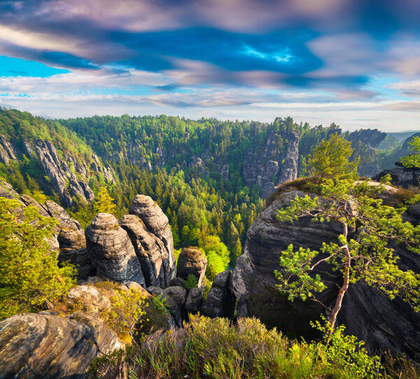 Misty morning on sandstone cliff in Saxony Switzerland. Colorful spring scene in Germany, Saxony, Europe. Artistic style post processed photo.