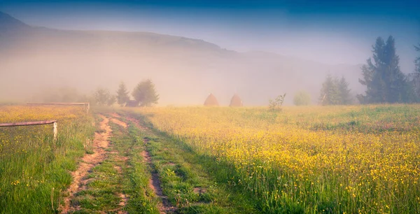カルパティア ボルツハヴァの場所で晴れた夏の朝 田舎道と霧の田舎のシーン ウクライナ ヨーロッパ — ストック写真