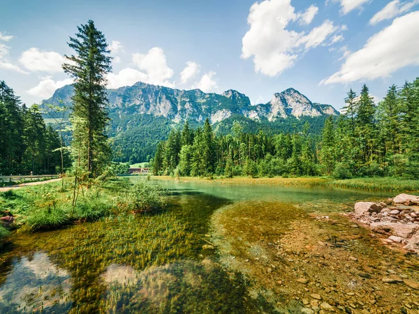 Hintersee Gölü 'nün parlak yaz sahnesi. Avusturya, Almanya ve Avrupa sınırındaki Bavyera Alpleri 'nin resimli sabah manzarası. Doğa konseptinin güzelliği. Instagram filtre tonu