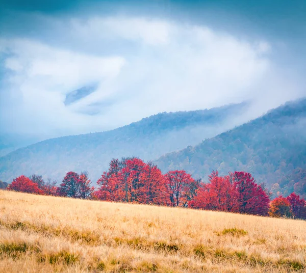 Nebelige Herbstlandschaft Gebirgstal Magische Morgenlandschaft Der Karpaten Lage Des Dorfes — Stockfoto