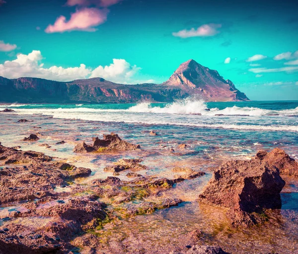 Scène Printanière Colorée Sur Réserve Naturelle Monte Cofano San Vito — Photo