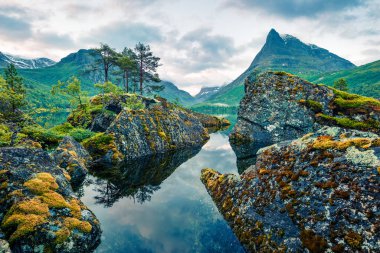 Innerdalsvatna Gölü 'nün heyecan verici yaz manzarası. Norveç, Avrupa 'nın dramatik sabah manzarası. Doğa konseptinin güzelliği. Instagram filtre tonu