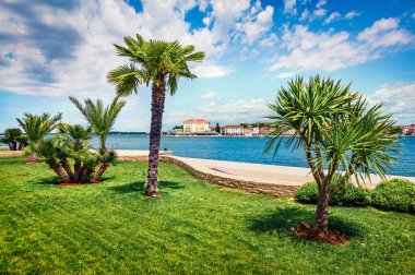 Popüler yazlık Porec 'in güneşli bahar manzarası. Adriyatik Denizi 'nin renkli bahar deniz manzarası. Batı Hırvatistan, Avrupa 'daki Istrian Yarımadası' nın nefes kesici sabah manzarası. Seyahat konsepti arka planı.