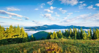 Sisli dağ tepelerinin üzerindeki derin mavi gökyüzü. Karpat dağlarının parlak yaz manzarası. Dağ vadisi, Ukrayna, Tatariv köyü, Avrupa manzarası. 