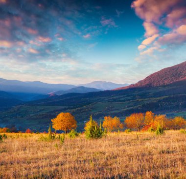 Dağ köyünde muhteşem bir sonbahar sahnesi. Karpatlar, Ukrayna, Avrupa 'daki renkli sabah manzarası. İşlenmiş fotoğraf sonrası sanatsal stil