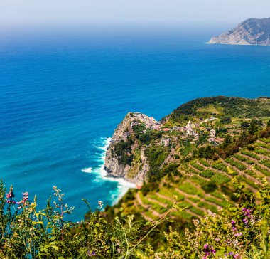 Tepe şehirlerinin Cique Terre dizisinin üçüncü köyü, Corniglia. Liguria, İtalya, Avrupa 'da renkli bir bahar sabahı. Akdeniz 'in resimli deniz manzarası. Seyahat konsepti arka planı.