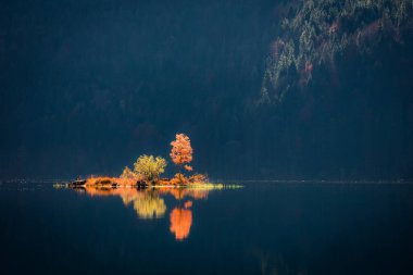 Eibsee Gölü 'nün muhteşem sonbahar sahnesi. Zugspitze zirvesinin, Bavyera 'nın, Almanya' nın ve Avrupa 'nın dibinde parlayan ilk güneş ışığı manzarası. Doğa konseptinin güzelliği.