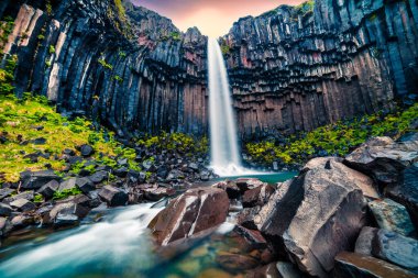 Ünlü Svartifoss (siyah sonbahar) şelale görünümünü dramatik sabah. Skaftafell, Vatnajokull Milli Parkı, İzlanda, Avrupa'nın renkli yaz gündoğumu. Tarzı yazı işlenmiş fotoğraf.