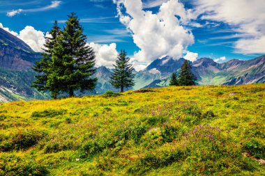 Oeschinen Gölü 'ndeki dağ vadisinin muhteşem yaz manzarası. İsviçre Alpleri 'nin muhteşem sabah manzarası, Kandersteg köyü, İsviçre, Avrupa. Doğa konseptinin güzelliği.