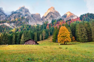 İlk güneş ışığı parlayan dağ zirveleri. Daeumling dağlarının parlak sonbahar manzarası, Gosau Gölü (Vorderer Gosausee) konumu. Avusturya Alpleri, Gosau Vadisi, Avusturya ve Avrupa 'nın renkli manzaraları.