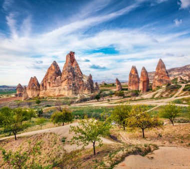 Kırmızı Gül Vadisi 'nin muhteşem sabah manzarası. Cappadocia 'nın güzel bir bahar sahnesi. Nevsehir ilçesinin bulunduğu Cavusin köyü, Türkiye, Asya. Seyahat konsepti arka planı.