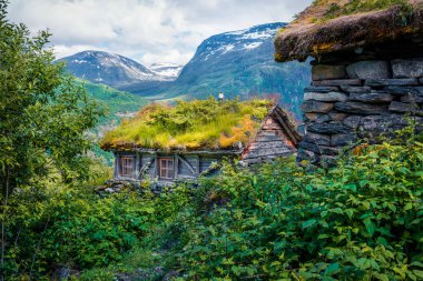 Norveçli tipik çim çatılı ahşap ev. Norveç, Avrupa 'da renkli bir sabah sahnesi. Kırsal konseptin güzelliği.