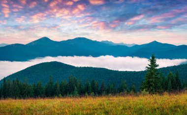 Karpatya dağlarında renkli bir yaz gündoğumu. Haziran ayında Ukrayna 'daki dağ vadisinde muhteşem bir sabah manzarası, Tatariv köyü bölgesi, Avrupa. İşlenmiş fotoğraf sonrası sanatsal stil