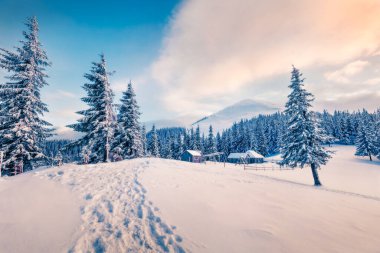 Terk edilmiş Carpathian köyünde güzel bir kış günbatımı. Soğuk açık hava sahnesi, mutlu yeni yıl kutlaması konsepti. Sanatsal stil, işlenmiş fotoğraf. Orton Efekti.