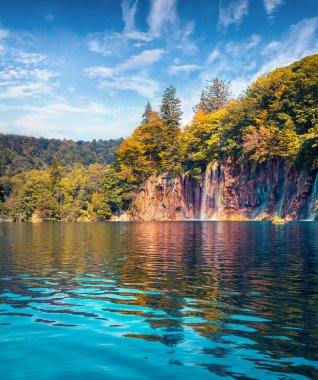 Plitvice Lakes Ulusal Parkı 'nda güneşli bir yaz sahnesi. Gök mavisi nehirde akan saf su şelaleleri. Doğa konseptinin güzelliği. Hırvatistan, Avrupa. Doğa konseptinin güzelliği