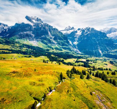 Grindelwald köyünün renkli sabah manzarası. Wetterhorn ve Wellhorn Dağları, Bernese Oberland Alpleri 'ndeki Innertkirchen' in batısında yer alıyor. İsviçre, Avrupa.