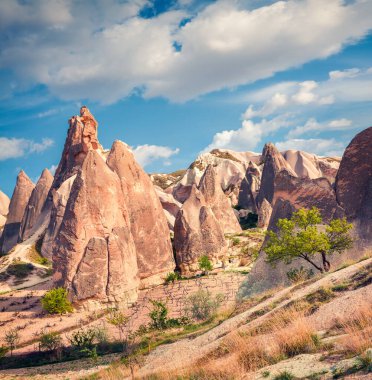 Cappadocia 'nın muhteşem bahar sahnesi. Nisan ayındaki Kırmızı Gül Vadisi manzarası. Nevsehir ilçesinin bulunduğu Cavusin köyü, Türkiye, Asya. Seyahat konsepti arka planı.