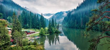Lacu Rosu gölünün panoramik sabah manzarası. Romanya, Avrupa 'daki Harghita County' nin puslu yaz manzarası. Doğa konseptinin güzelliği.