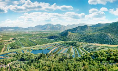 Pizinovac köyündeki meyve bahçelerinin havadan manzarası. Hırvatistan, Avrupa 'nın renkli sabah manzarası. Akdeniz ülkelerinin güzel dünyası. Seyahat konsepti arka planı.