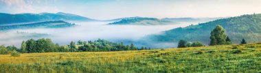 Dağ vadisinin sisli sabah manzarası. Karpatya dağlarında, Rika köyünde, Transcarpathian 'da, Ukrayna' da, Avrupa 'da muhteşem bir yaz gündoğumu. Doğa konseptinin güzelliği.