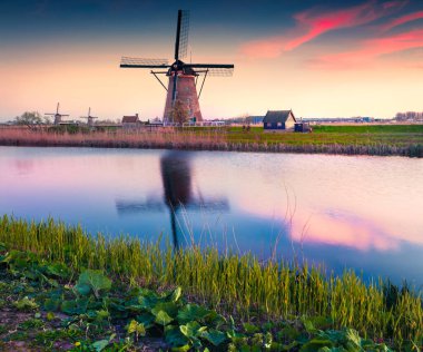 Ünlü Kinderdijk kanallarında renkli bir bahar sahnesi. UNESCO 'nun dünya mirası sitesi yel değirmenleriyle dolu. Hollanda 'nın Kinderdijk köyünde günbatımı, Hollanda, Avrupa.