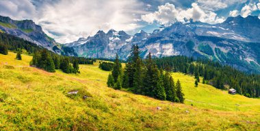 Oeschinen Gölü 'ndeki dağ vadisinin güneşli yaz manzarası. İsviçre Alplerinde, Kandersteg köyünde, Bern kantonunda, İsviçre 'de, Avrupa' da renkli bir sabah manzarası. Doğa konseptinin güzelliği.
