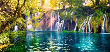 Son güneş ışığı Plitvice Ulusal Parkı 'ndaki saf su şelalesini aydınlatıyor. Mavi gölü olan yeşil ormanın renkli bahar manzarası. Hırvatistan ve Avrupa 'nın kırsal manzarası harika. Doğa konseptinin güzelliği.