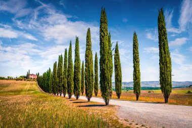 Çiftlik evi ve selvi ağaçlarıyla klasik Toskana manzarası. İtalya kırsalının renkli yaz manzarası, Val d 'Orcia vadisi, San Quirico d' Orcia konumu. Kırsal konseptin güzelliği